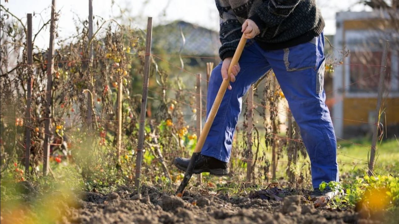 копаем почву
