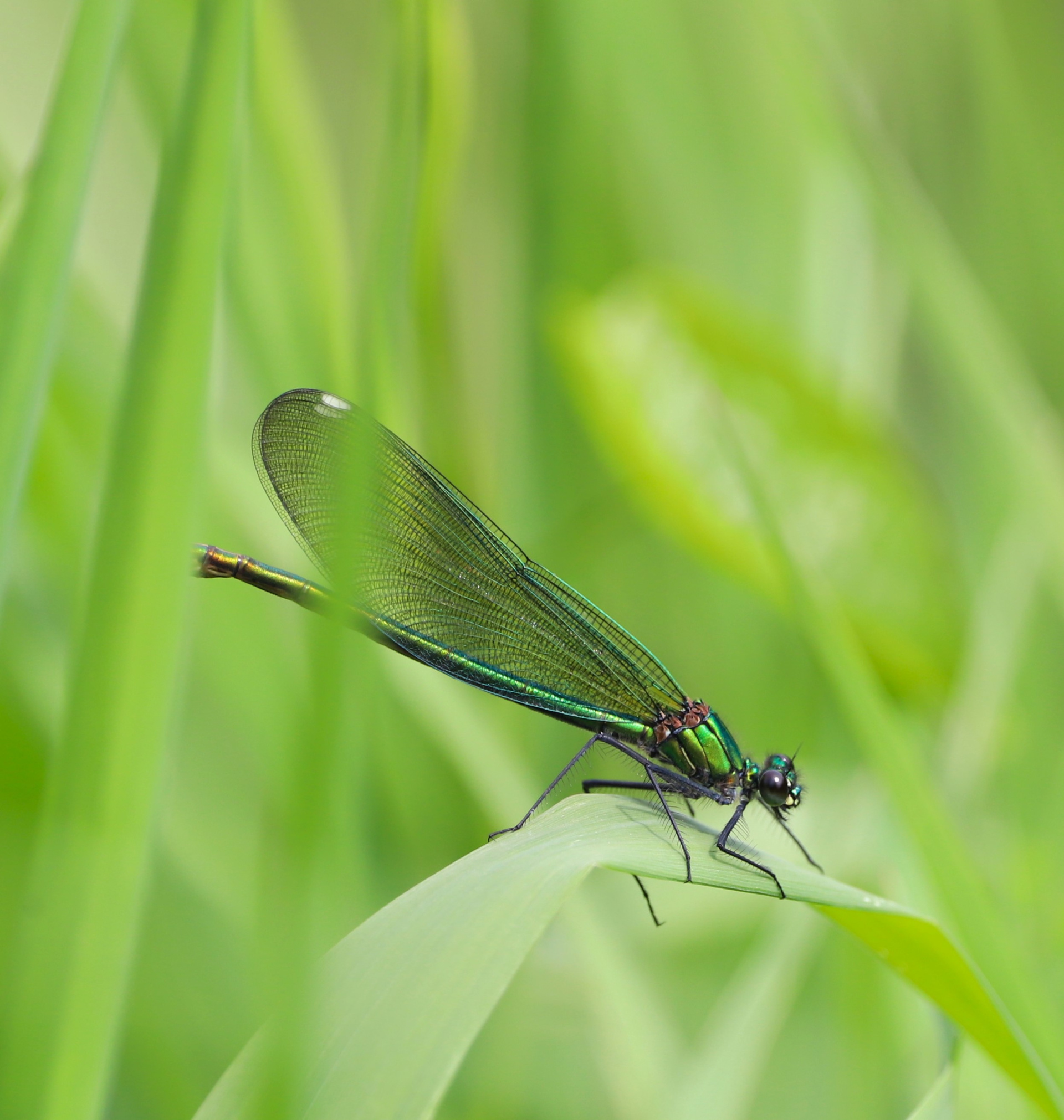 Одиночество