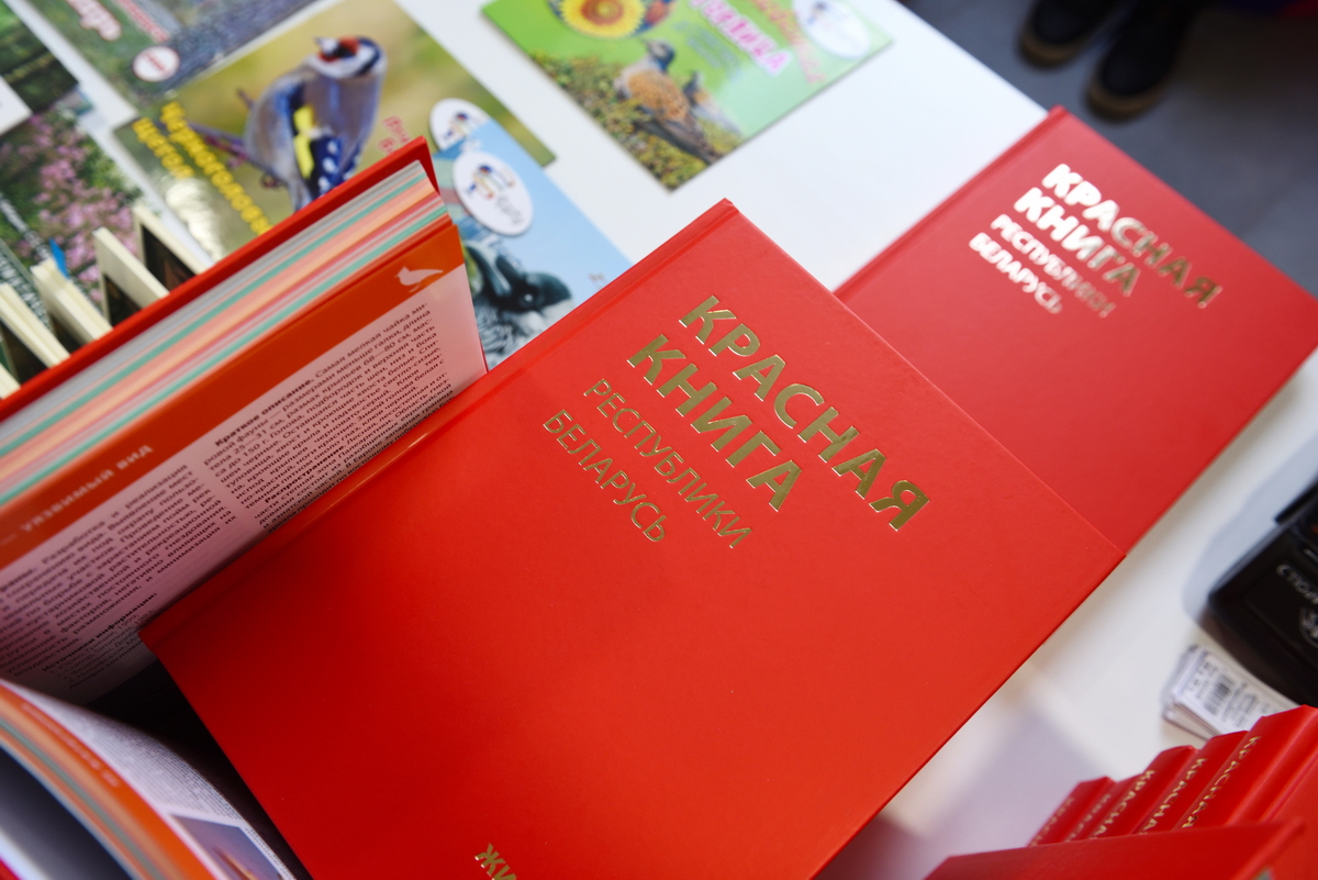 книга.JPG
