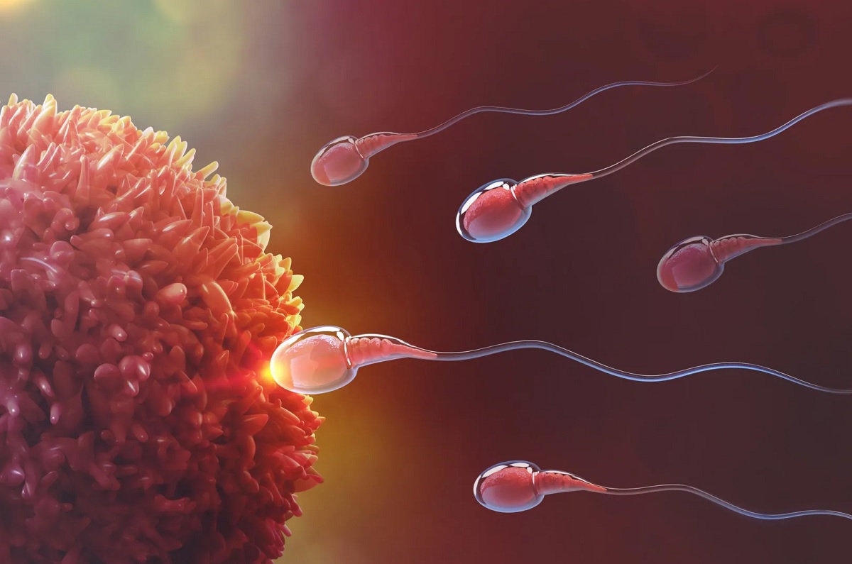 контрацепция