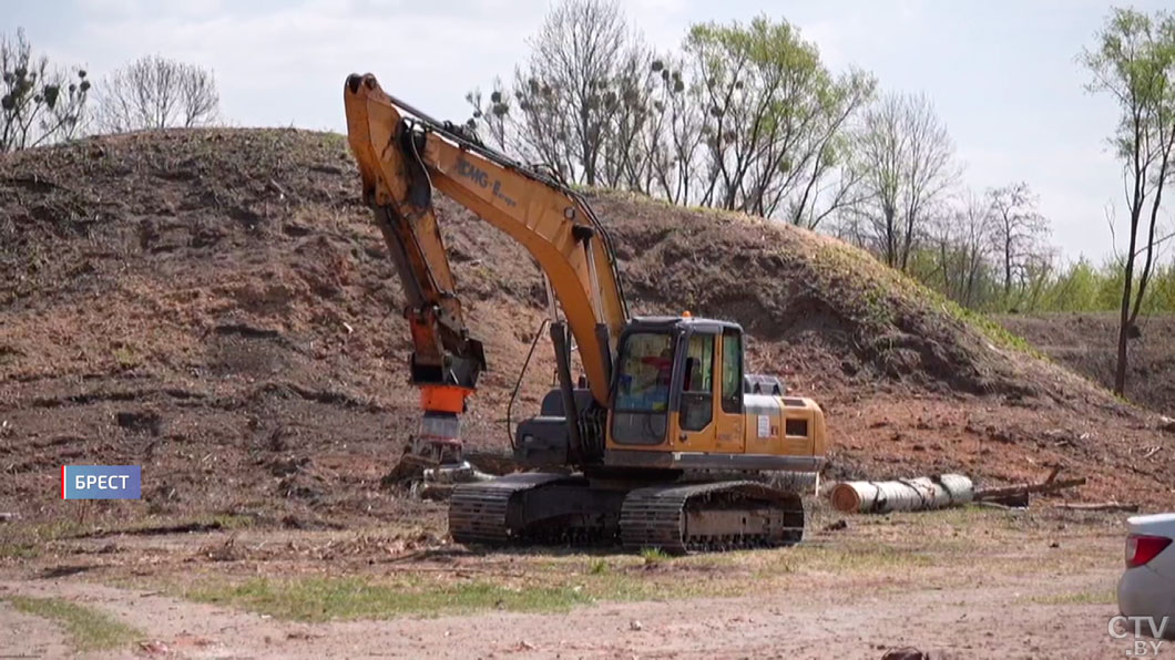 вырубают деревья