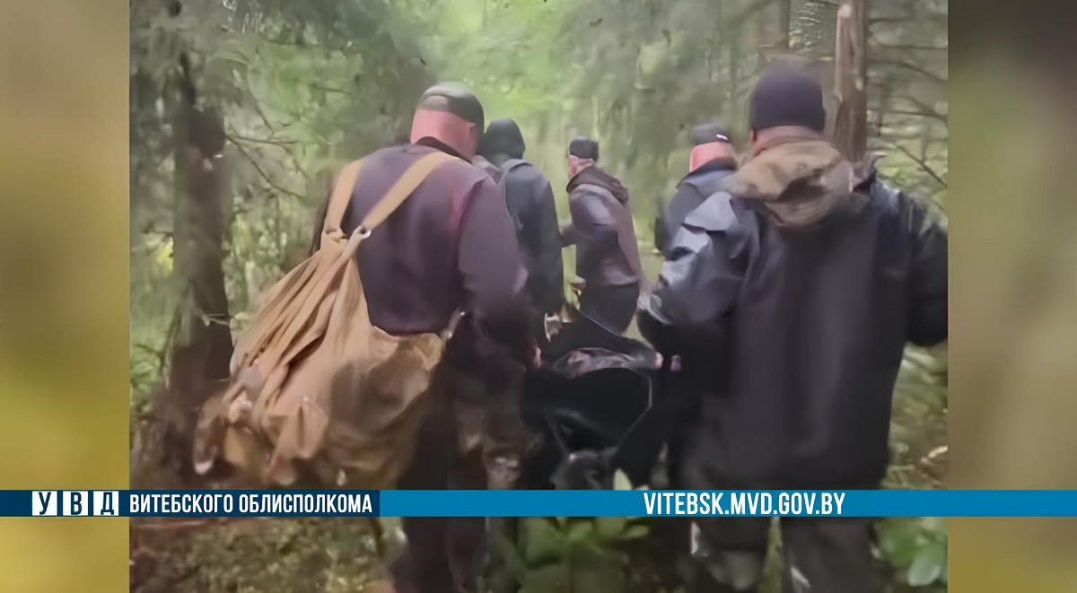 пенсионера выносят из леса пенсионера выносят из леса.jpg