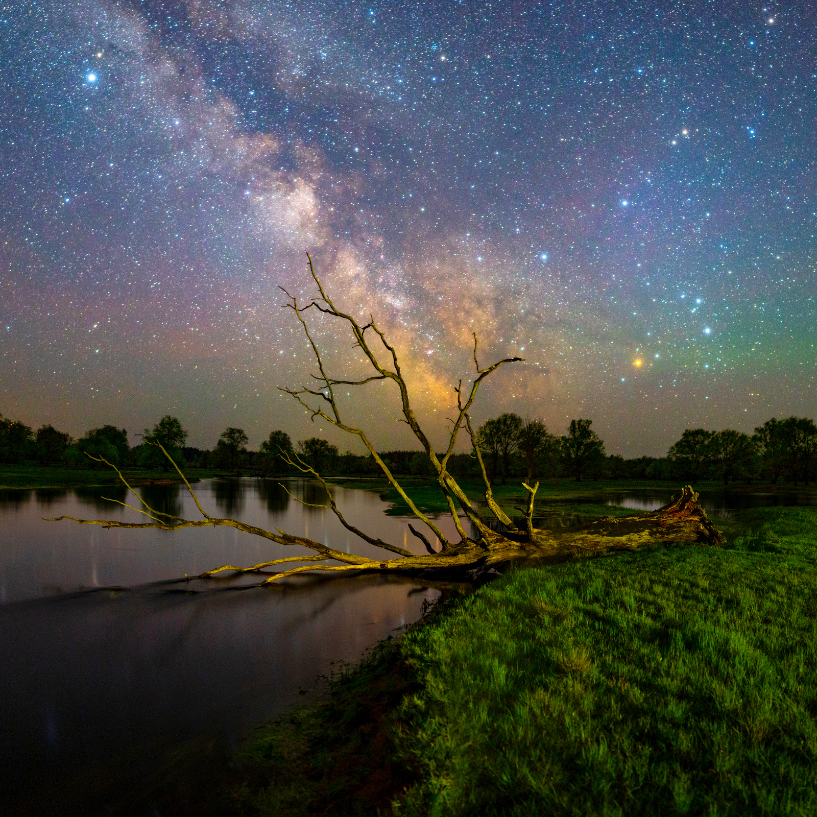 18-Звездное небо на фоне упавшего дерева.jpg
