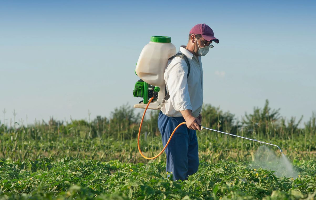 полив растений