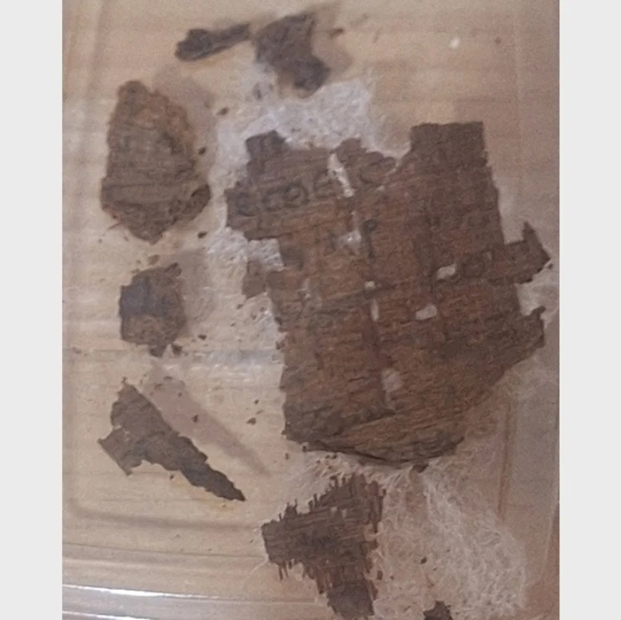 найденный папирус