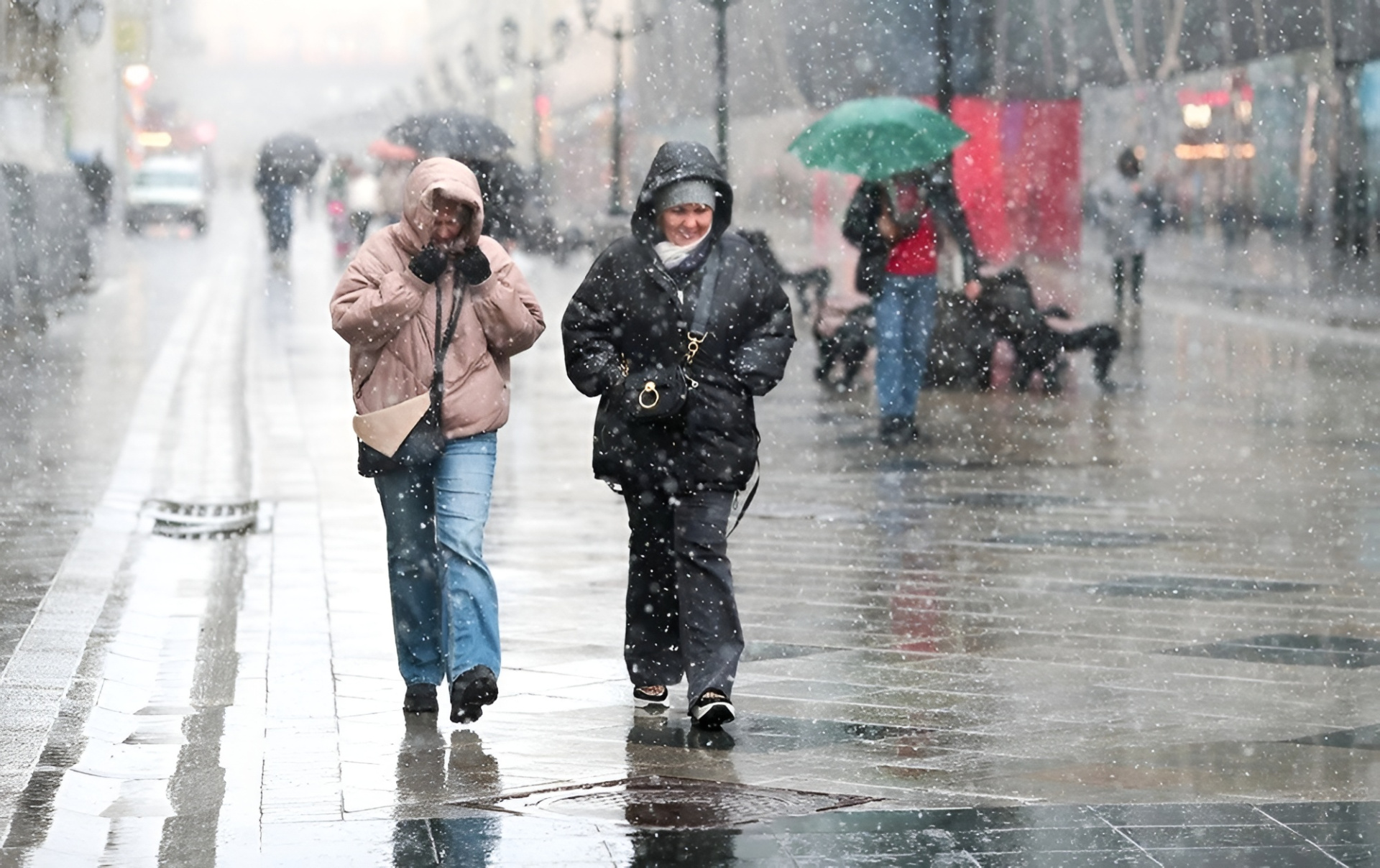 a4901d9cf81c733be7c97d9f8397ccfc (1).jpg