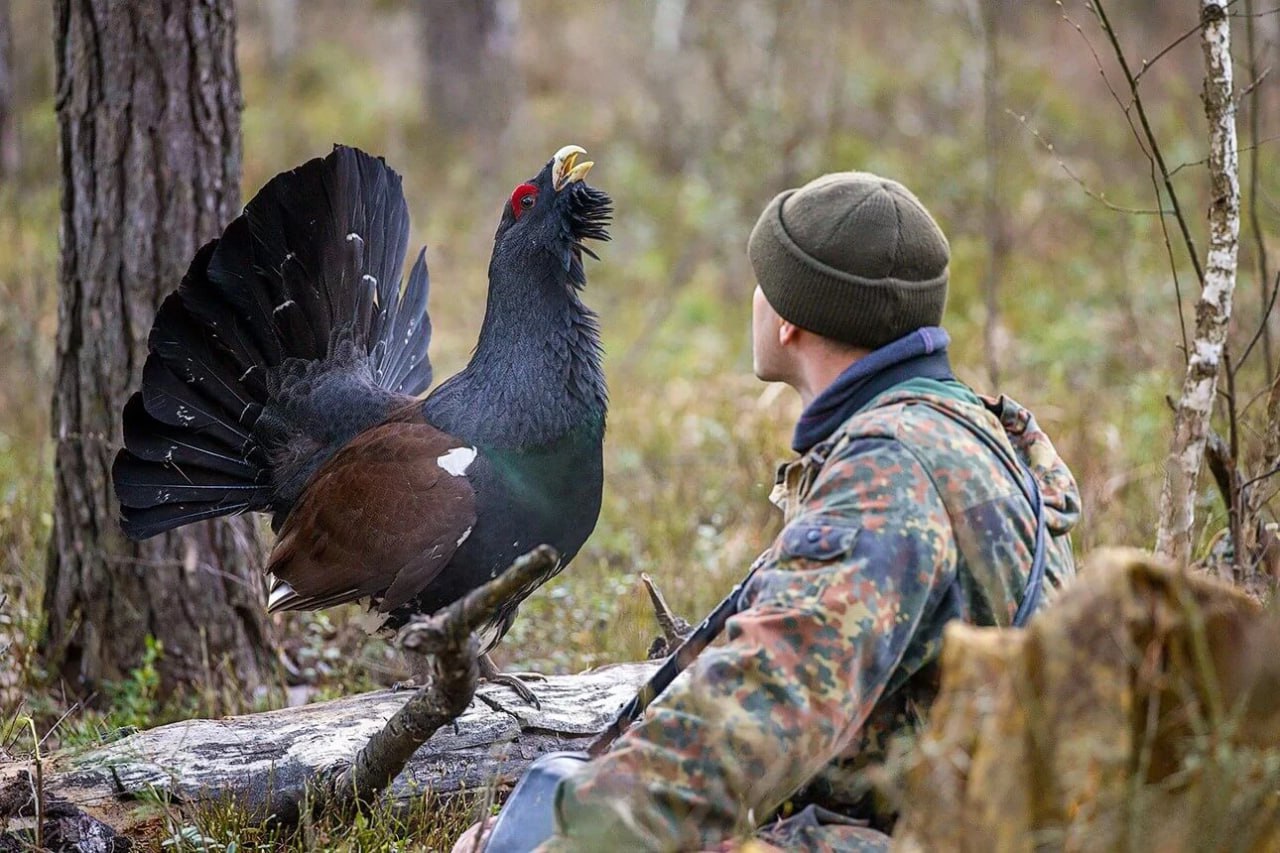 иванов и глухарь.jpg