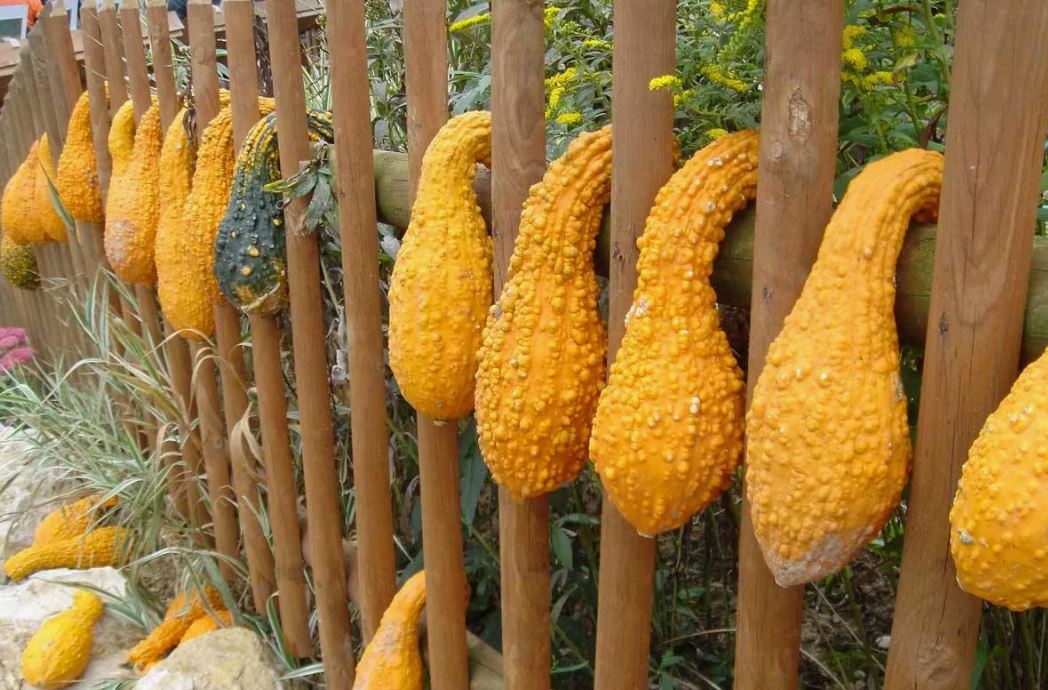 photo_2026-02-17_15-18-52 (3).jpg