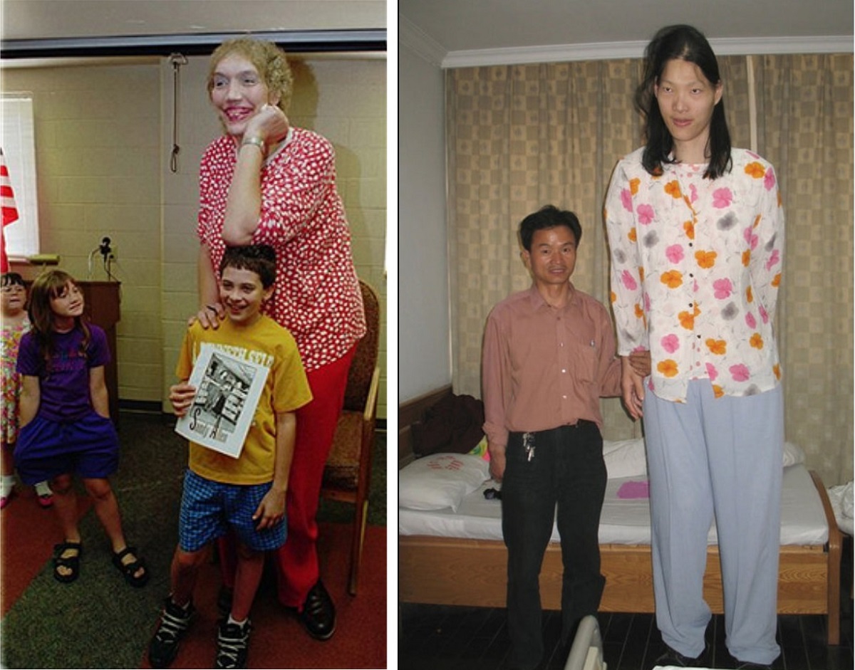 Сэнди Аллен и Яо Дефен