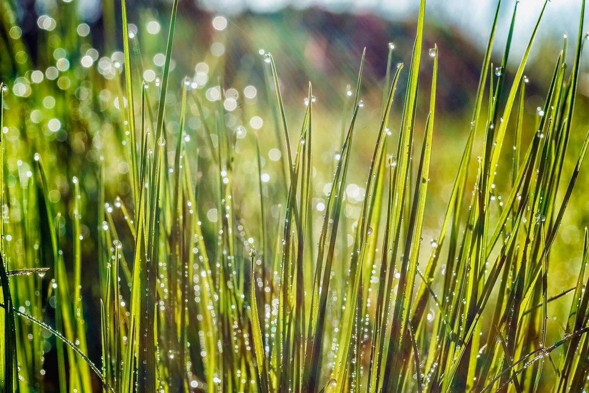 photo_2026-04-19_17-47-18 (3).jpg