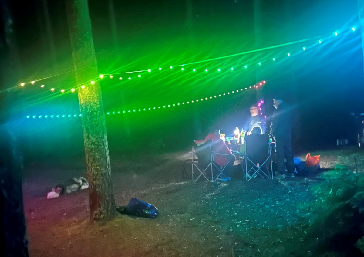 Новогодняя гирлянда в лесу.jpg