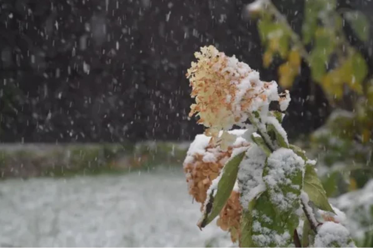 снег в декабре