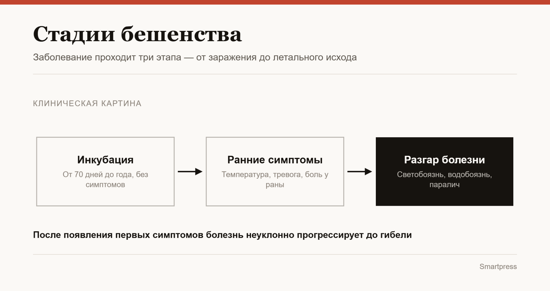 Бешенство инфографика.png