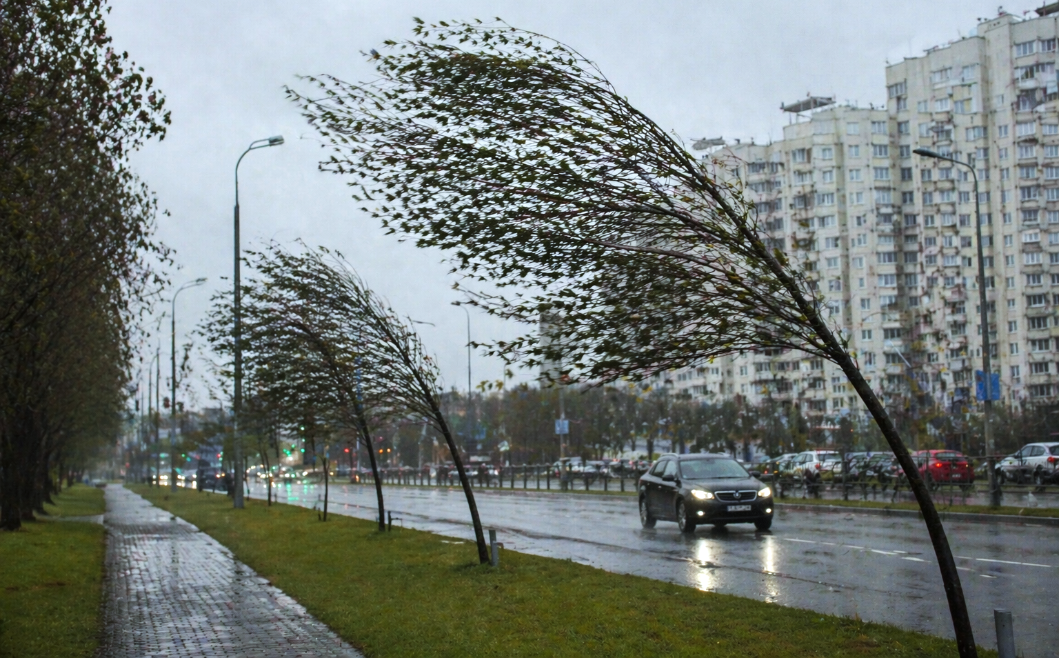 ChatGPT Image 21 апр. 2026 г., 12_53_26.png