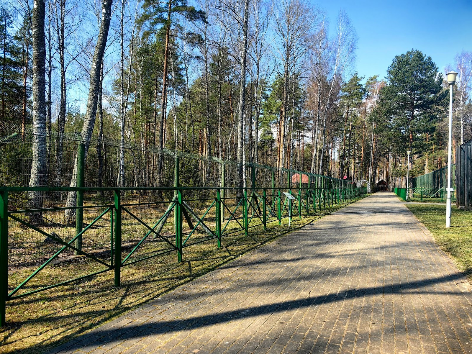 22-Лесной зоопарк в Березинском заповеднике.jpg