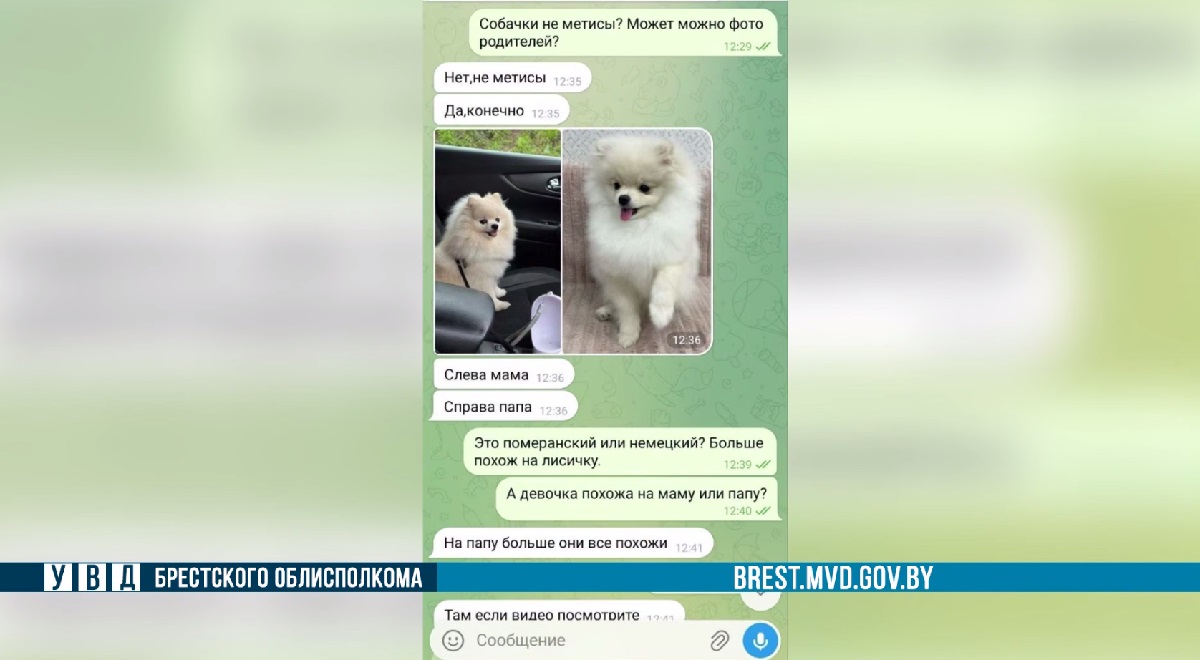 переписка в тг 1.jpg