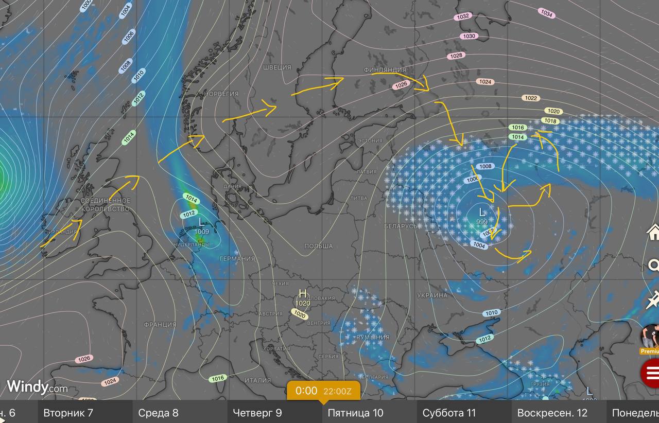 снежный покров