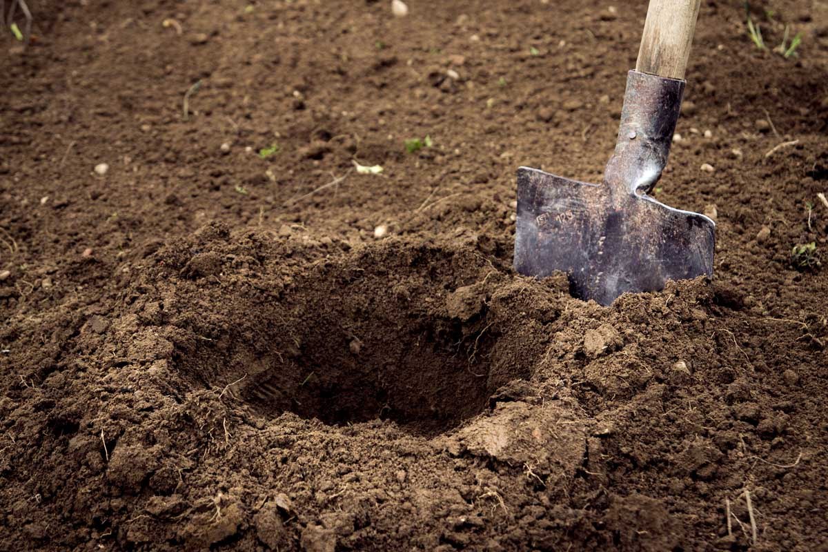 лопата и почва