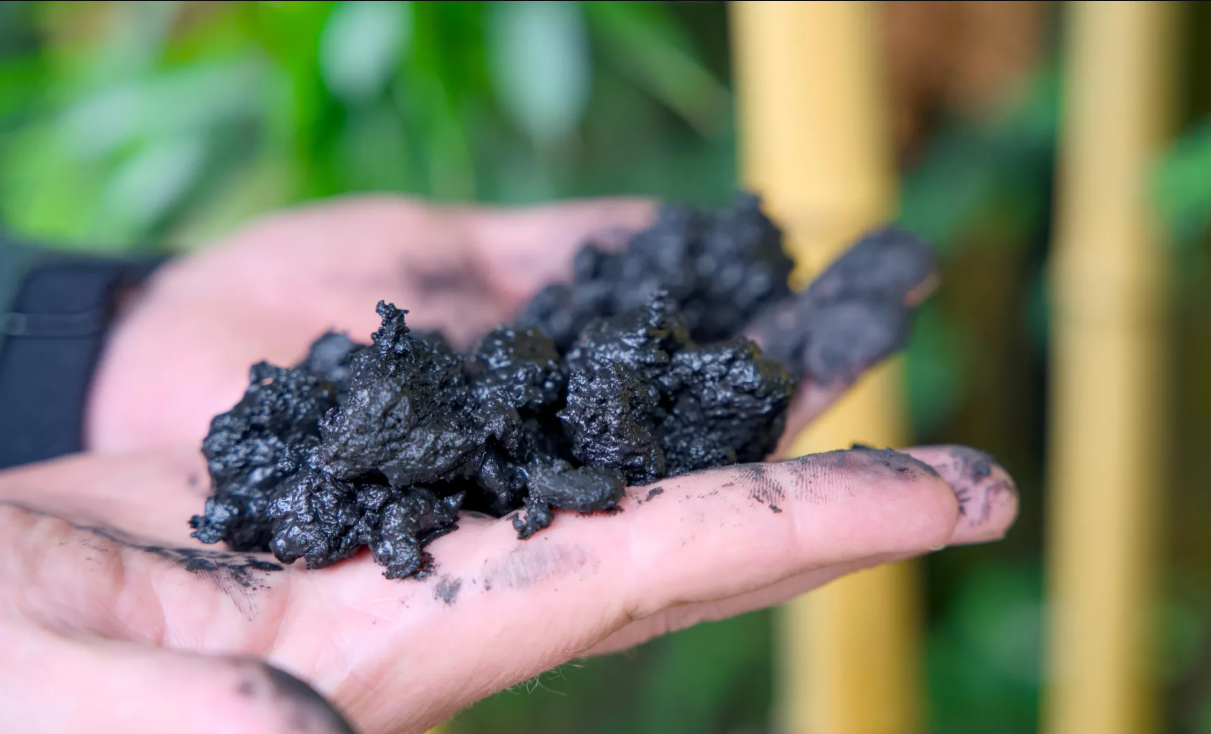 азотистая почва