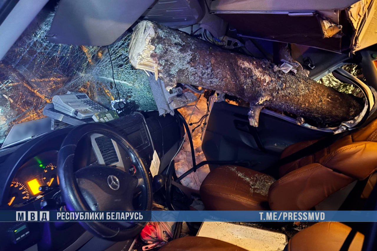 маршрутка врезалась в дерево