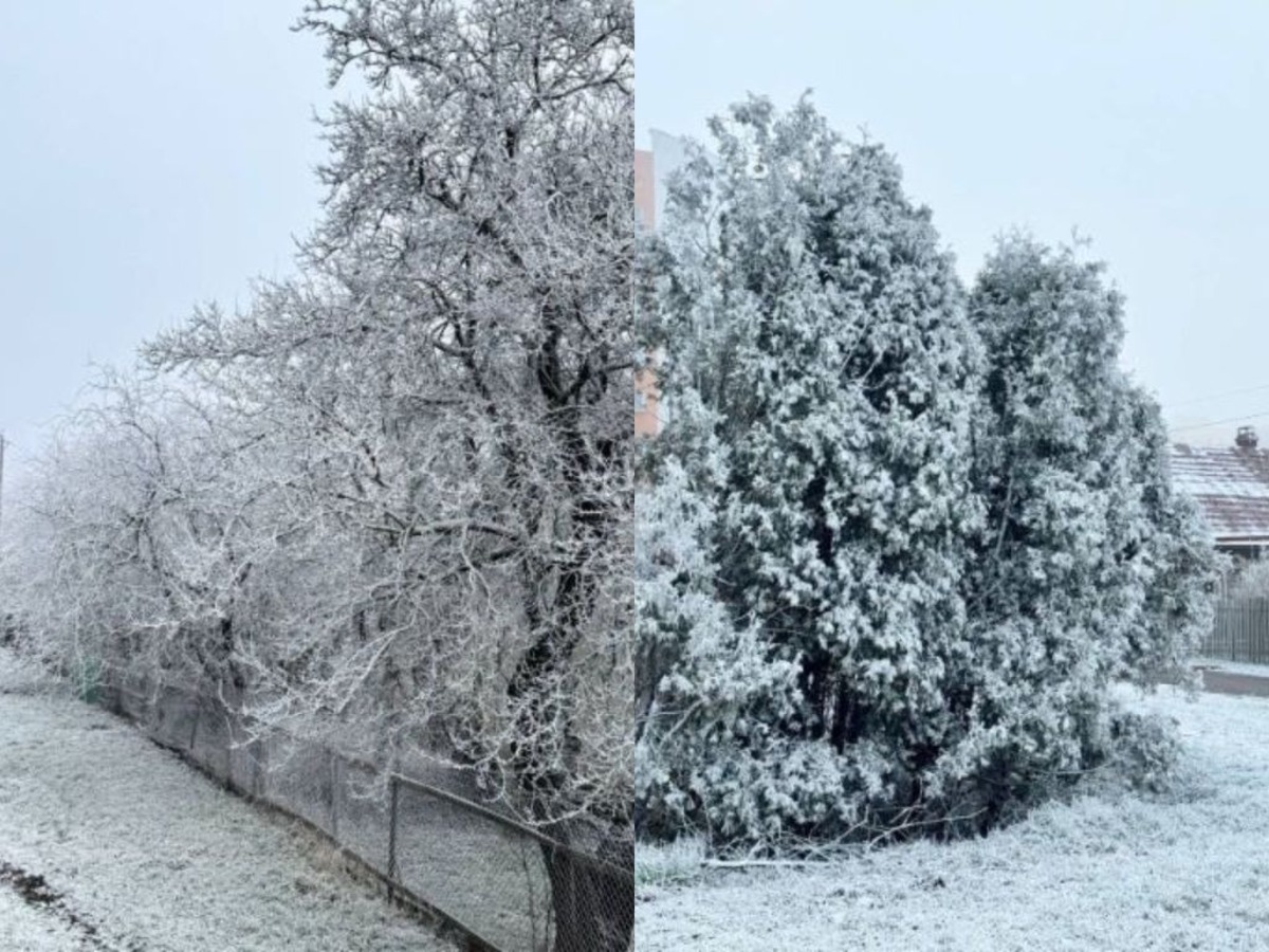 антропогенный снег в Минске