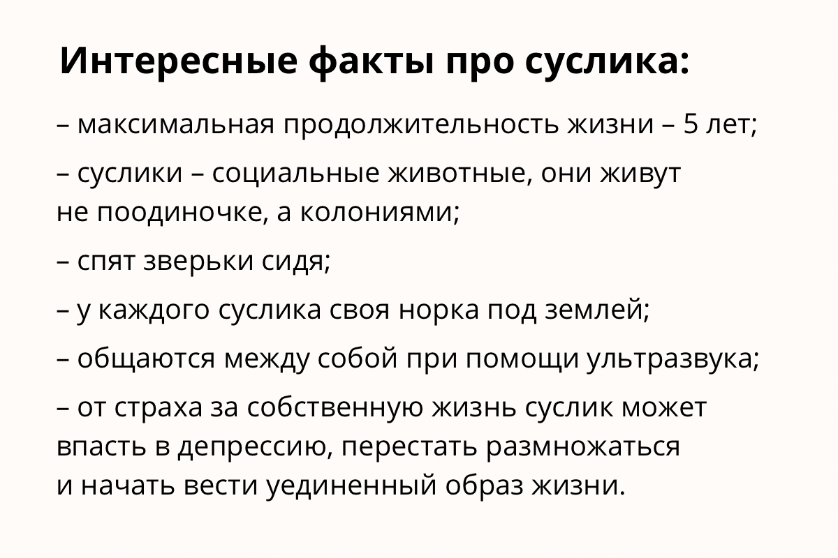 Целое поселение впало в депрессию”. Биолог объясняет, почему так важно  сохранить сусликов в Беларуси | СмартПресс: Зоо