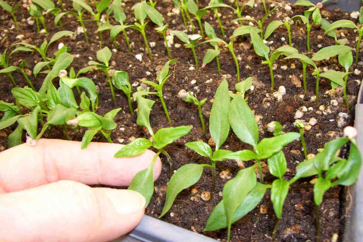 photo_2026-03-01_10-40-21 (2).jpg