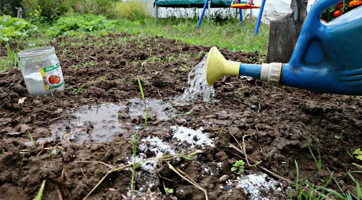 photo_2025-11-17_21-17-21 (2).jpg