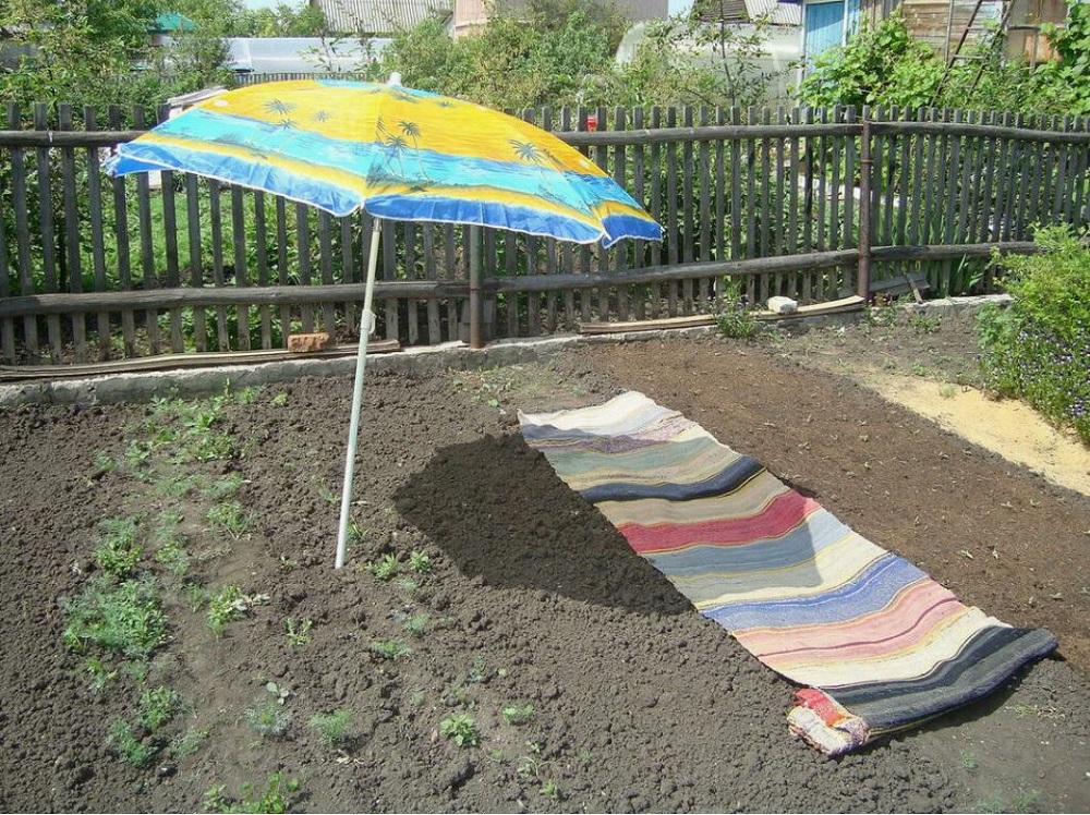 отдых на даче2.jpg