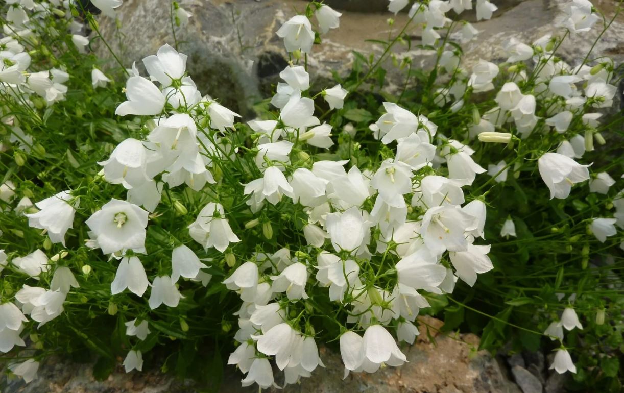 photo_2026-01-25_19-14-41 (5).jpg