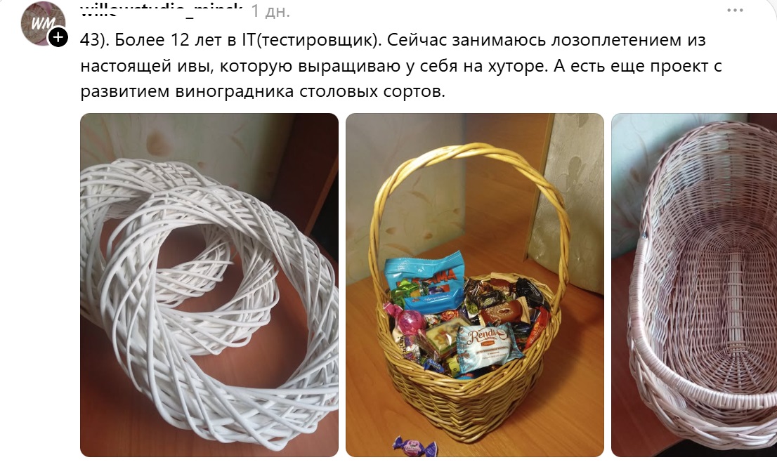 занятие после 40-лоза и виноградник