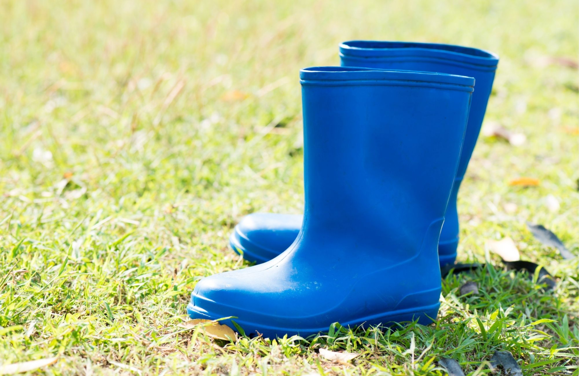 Сапоги для леса.jpg