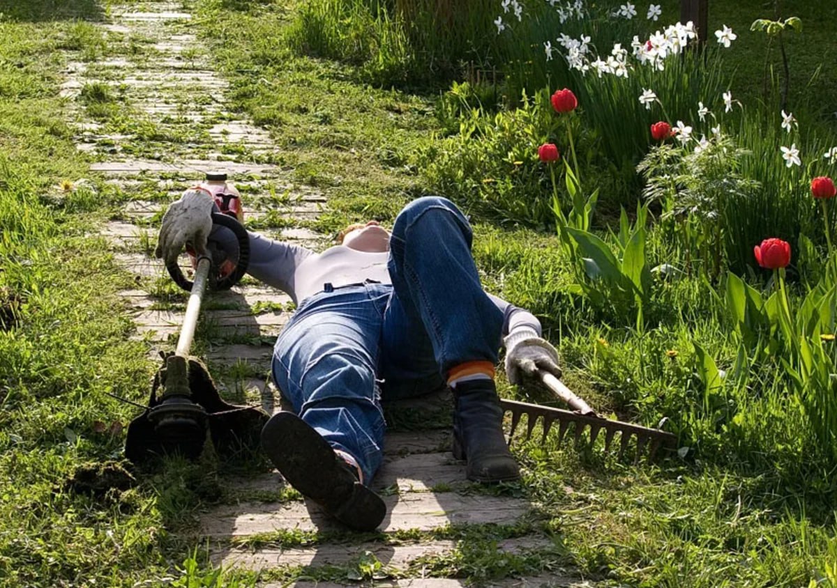 лежит на даче