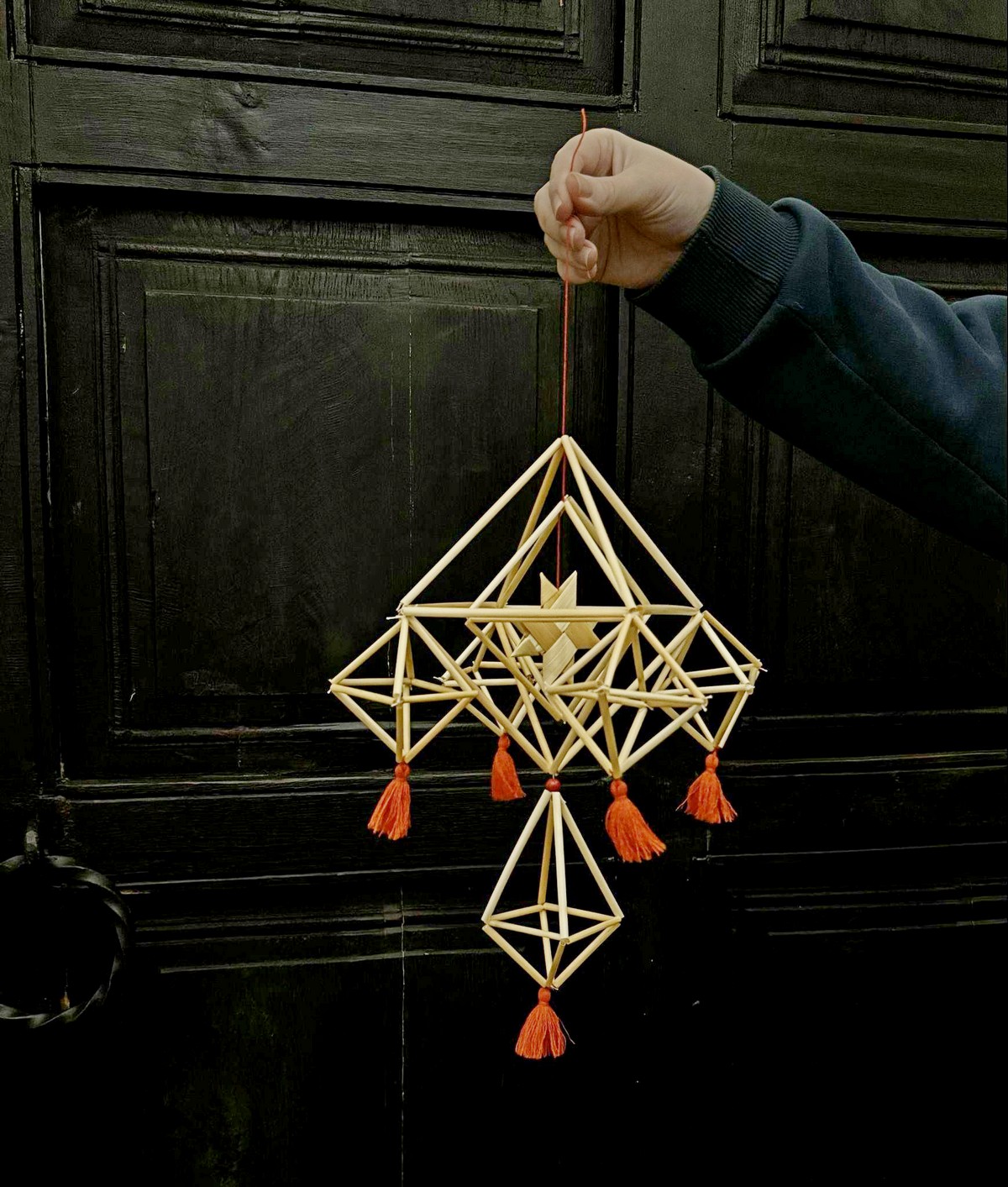 1-Соломенный паук.jpg