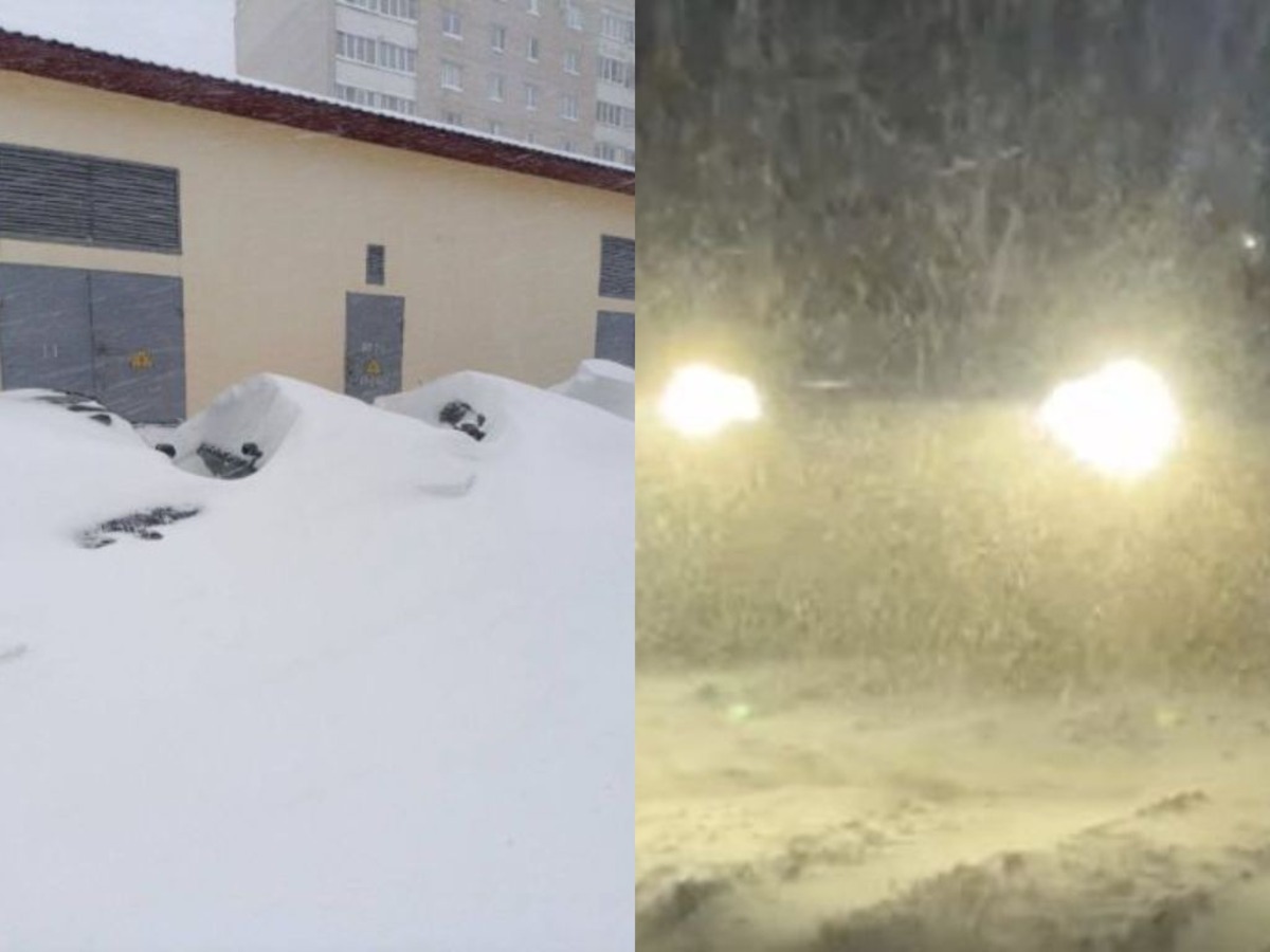 снежная буря от циклона Улли в Беларуси