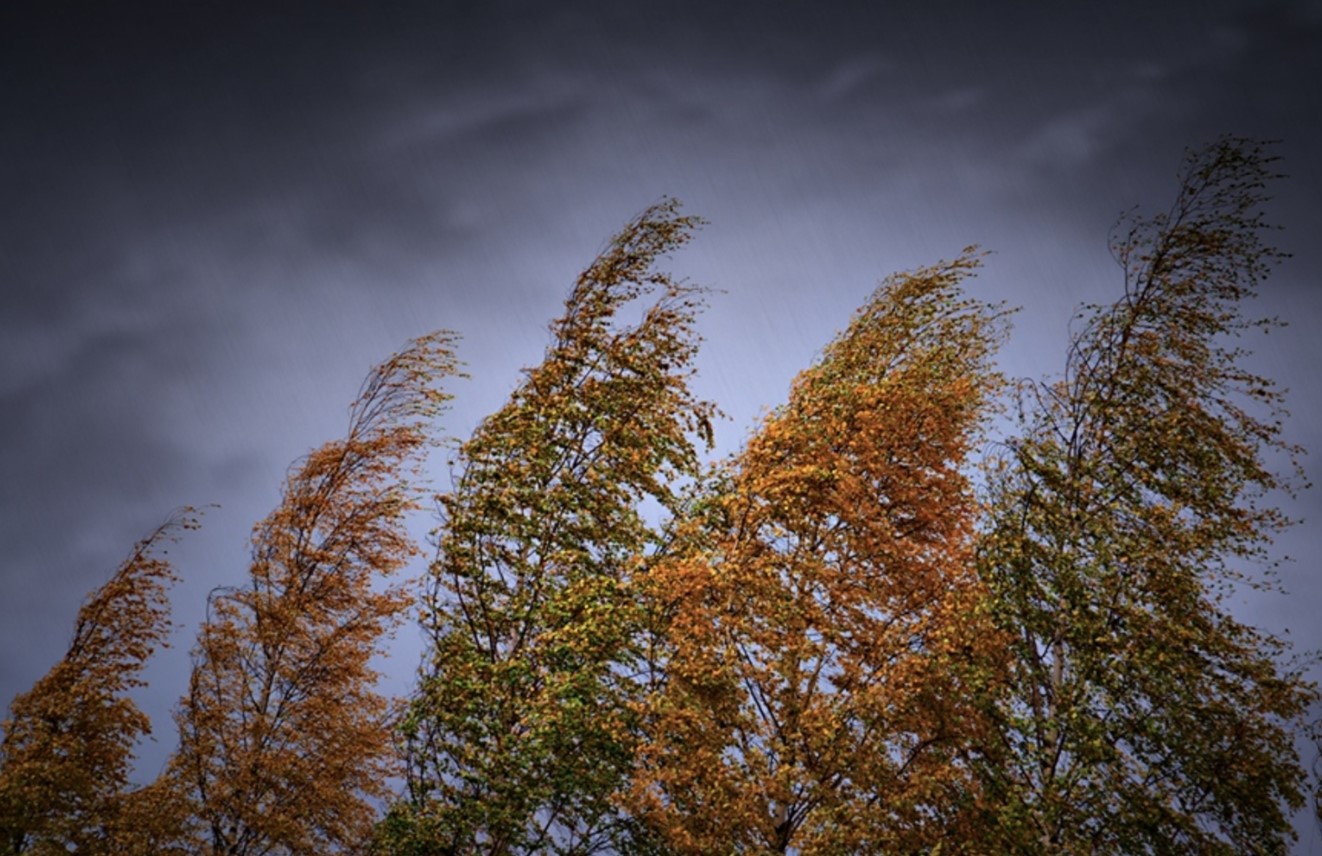 сентябрь ветер