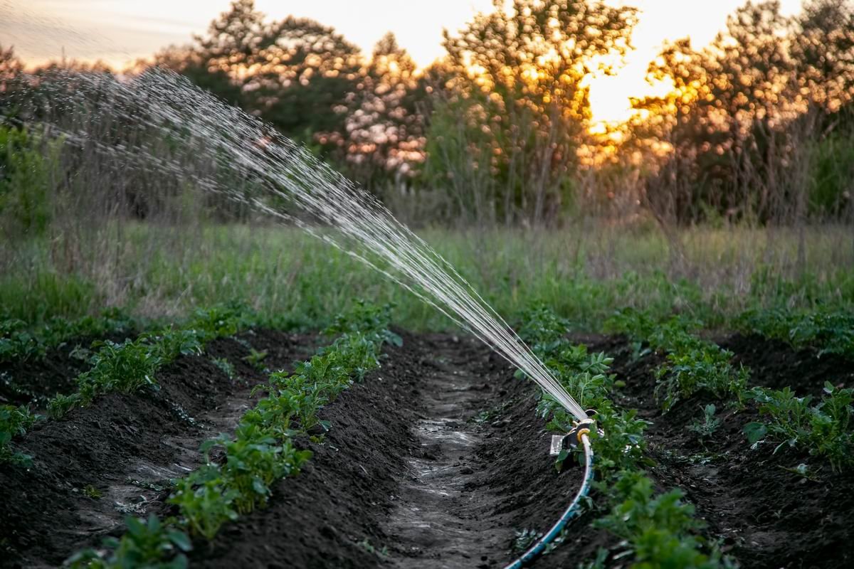полив полив