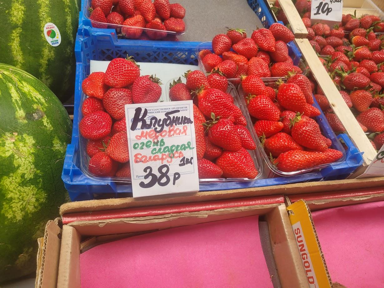 image8.jpg