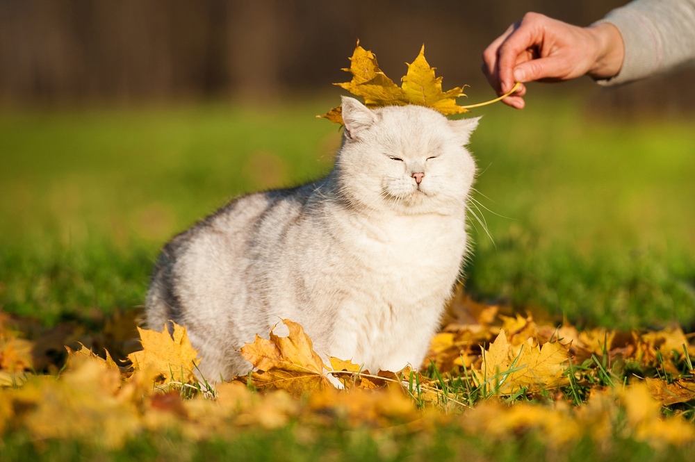 Теплый сентябрь