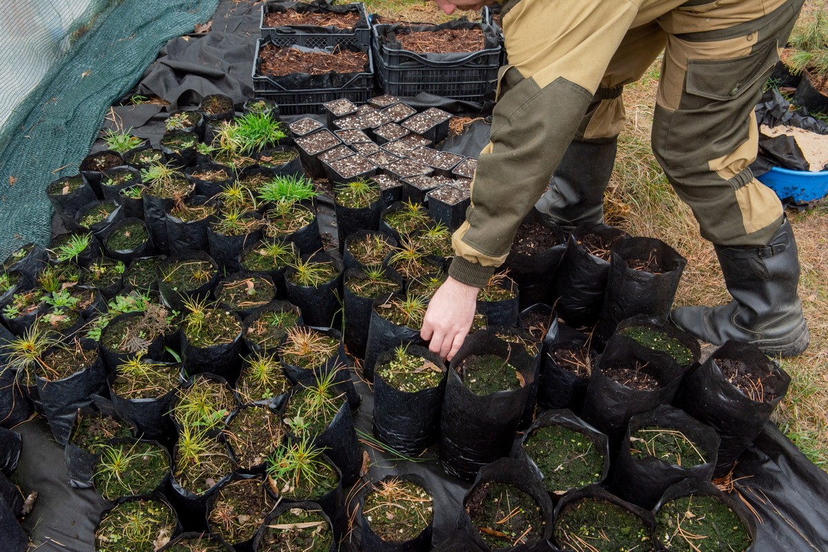 Парень построил дом из глины 31.jpg