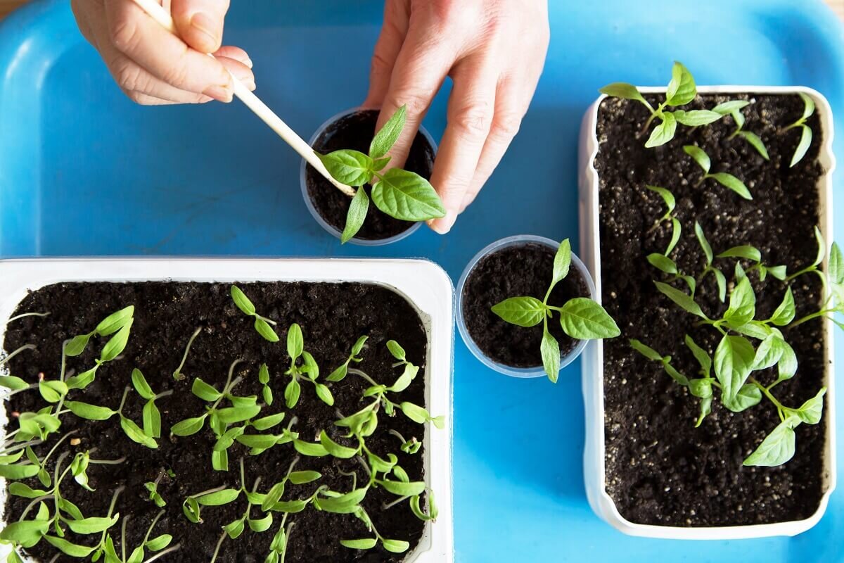 photo_2026-03-01_10-40-21 (4).jpg