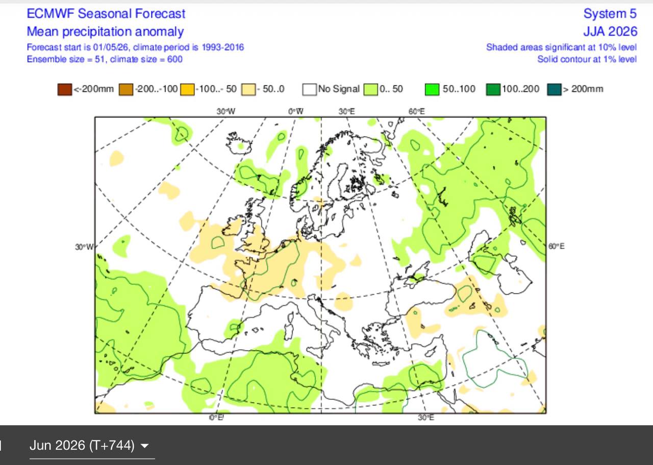 Карта аномалий осадков летом 2026 года от ECMWF