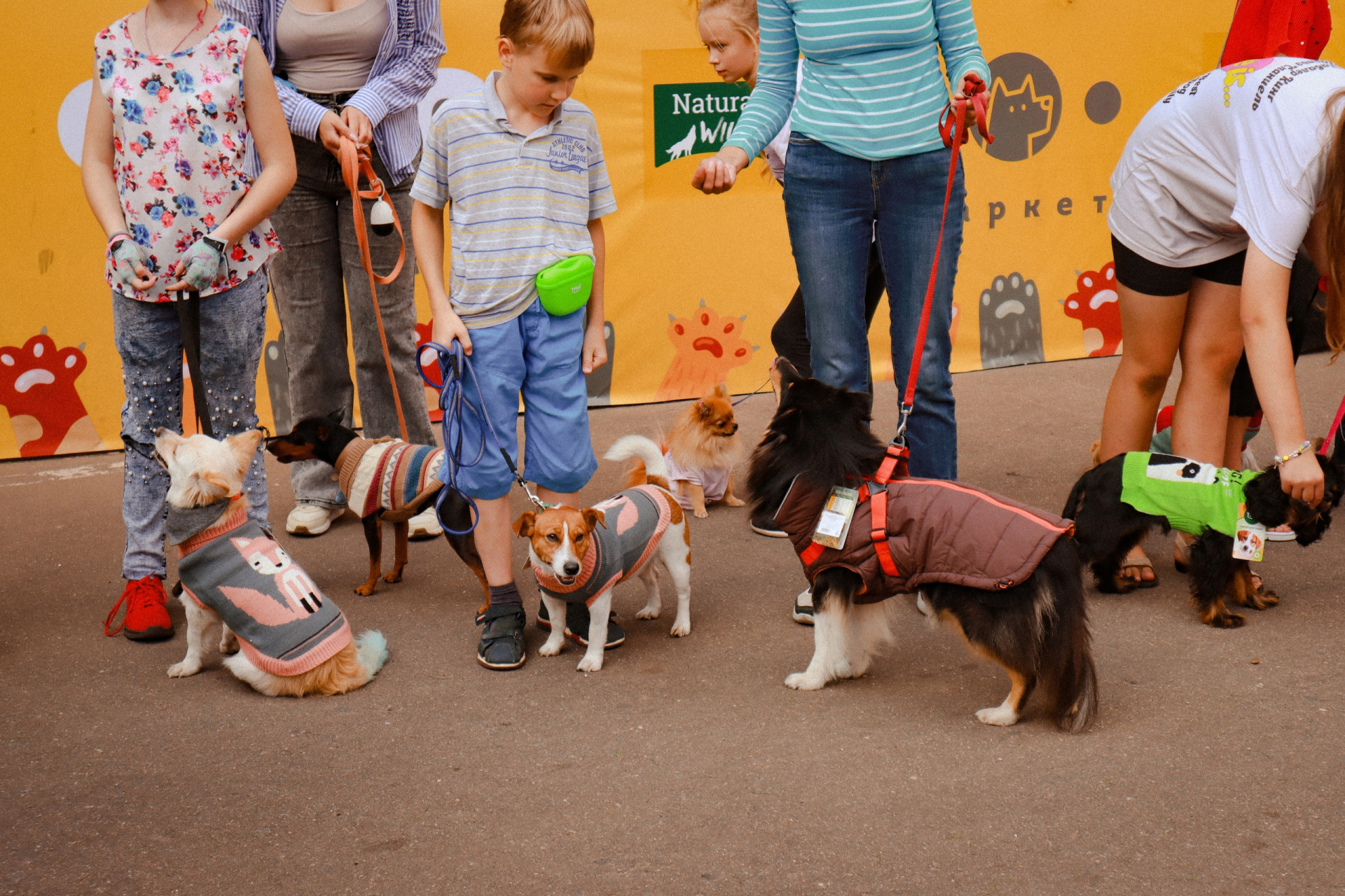 Зоофест 7.jpg