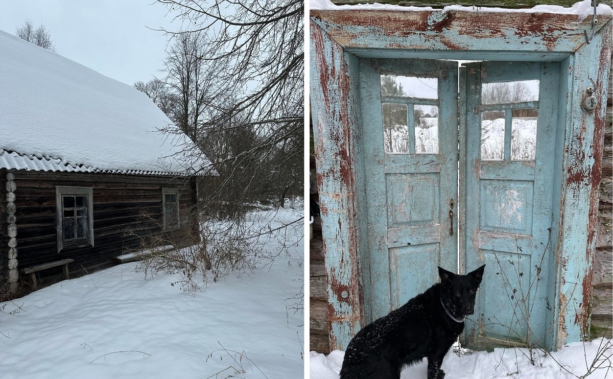 Веселуха Веселуха