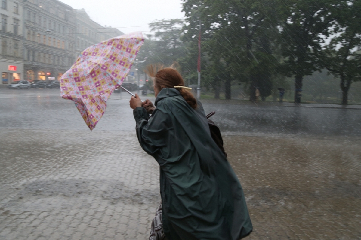 дождь и сильный ветер