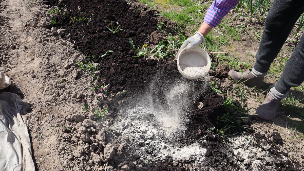 удобрение на участок