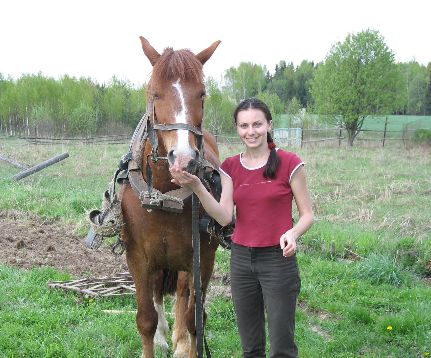 О чем говорили бабушки на лавке 5_Татьяна Шайко.jpg