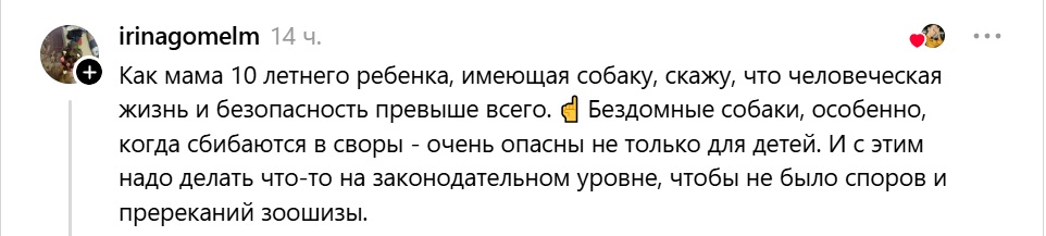 бездомные собаки опасны