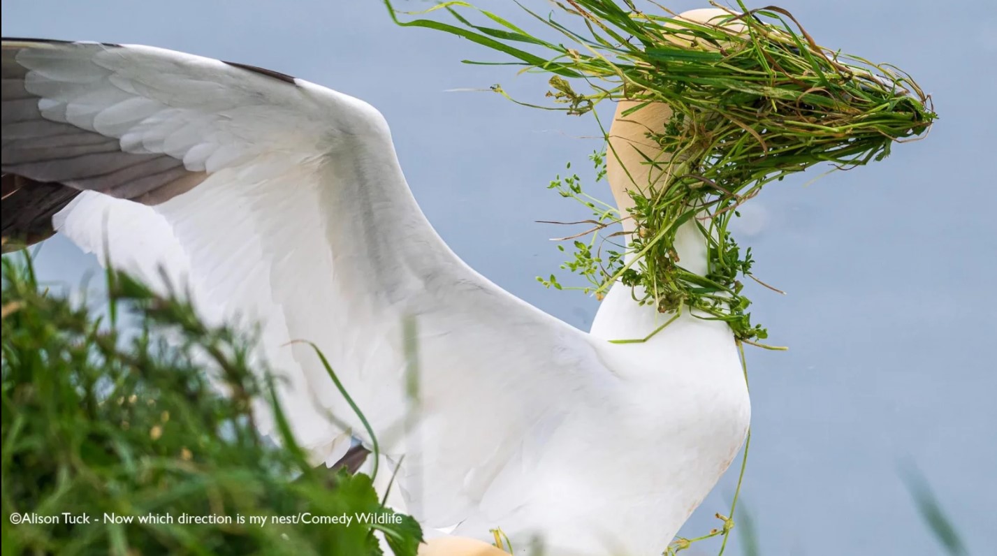 Qiz Viagra pornosini ichdi