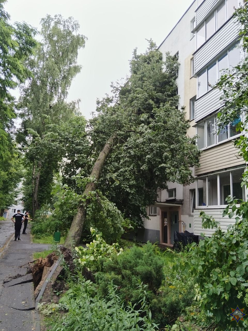 Непогода в Бобруйске 29 июня 2026 (3).jpg